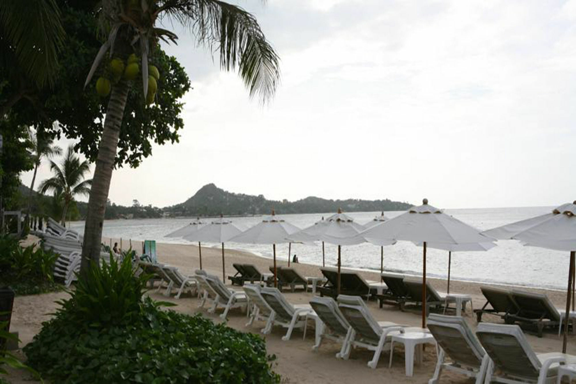 Samui Jasmine Resort - Sha Plus Lamai Beach  Exterior photo