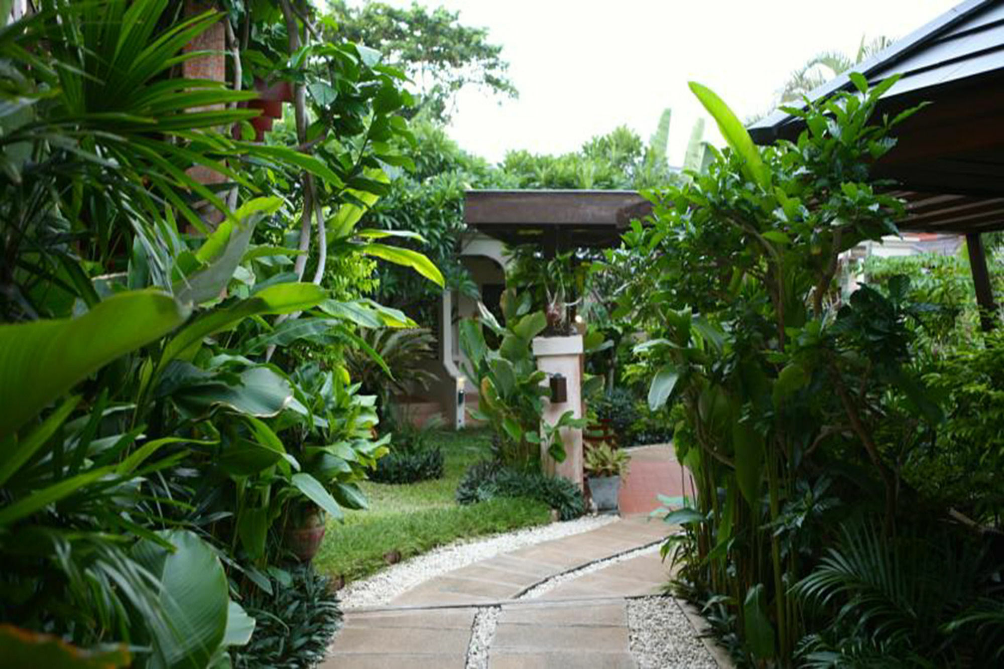 Samui Jasmine Resort - Sha Plus Lamai Beach  Exterior photo